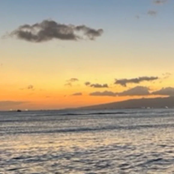 Brighton Woven Bag - Picture 8 of 8